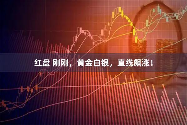 红盘 刚刚，黄金白银，直线飙涨！