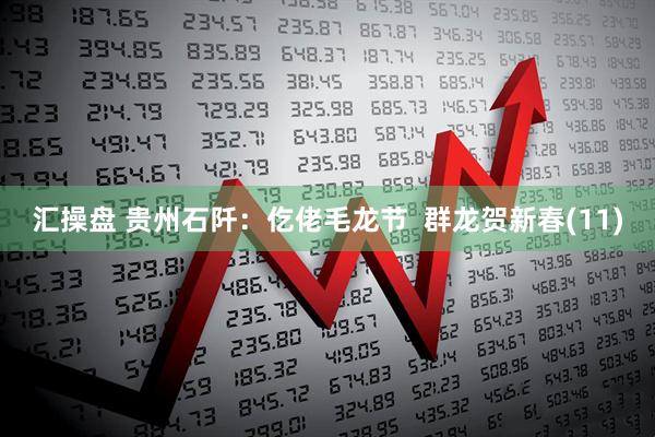 汇操盘 贵州石阡：仡佬毛龙节  群龙贺新春(11)