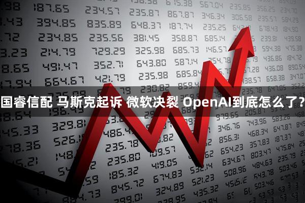 国睿信配 马斯克起诉 微软决裂 OpenAI到底怎么了？
