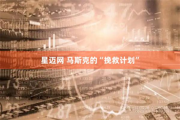 星迈网 马斯克的“挽救计划”
