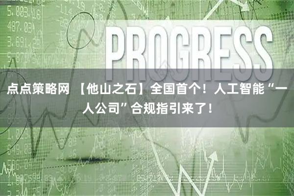 点点策略网 【他山之石】全国首个！人工智能“一人公司”合规指引来了！