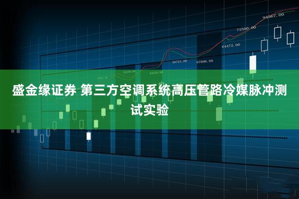 盛金缘证券 第三方空调系统高压管路冷媒脉冲测试实验