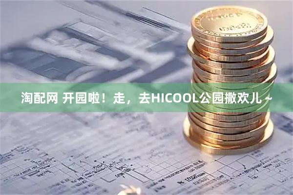 淘配网 开园啦!走,去HICOOL公园撒欢儿~