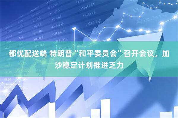 都优配送端 特朗普“和平委员会”召开会议，加沙稳定计划推进乏力
