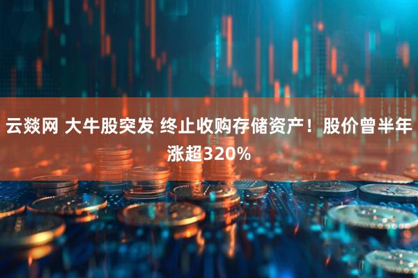 云燚网 大牛股突发 终止收购存储资产！股价曾半年涨超320%