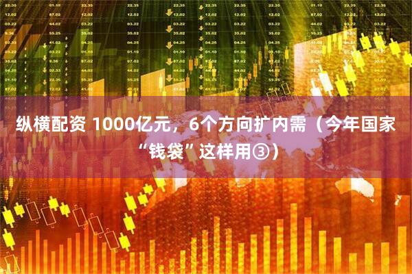 纵横配资 1000亿元，6个方向扩内需（今年国家“钱袋”这样用③）