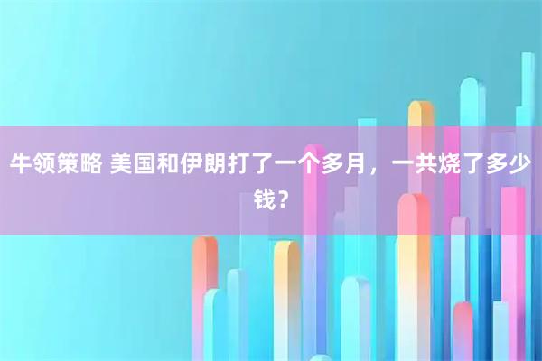 牛领策略 美国和伊朗打了一个多月，一共烧了多少钱？