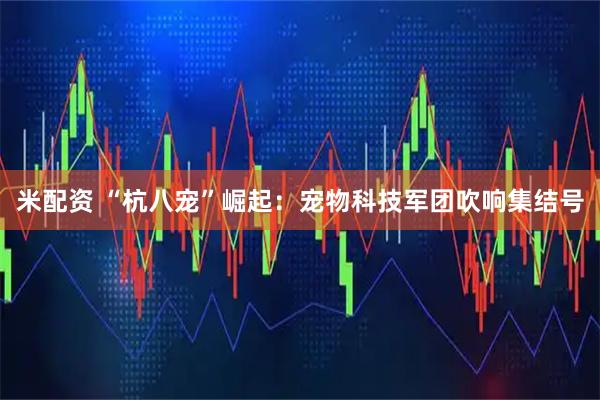 米配资 “杭八宠”崛起：宠物科技军团吹响集结号