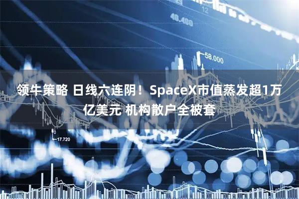 领牛策略 日线六连阴！SpaceX市值蒸发超1万亿美元 机构散户全被套