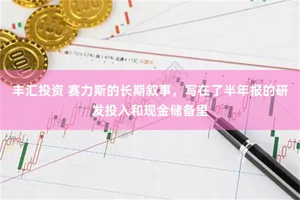 丰汇投资 赛力斯的长期叙事，写在了半年报的研发投入和现金储备里