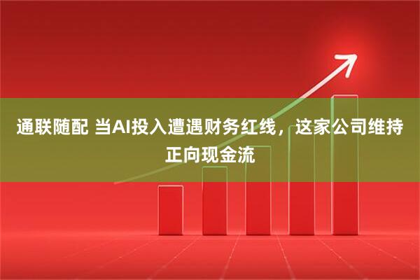 通联随配 当AI投入遭遇财务红线，这家公司维持正向现金流